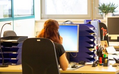 Das Bild zeigt eine junge Frau von hinten an einem PC